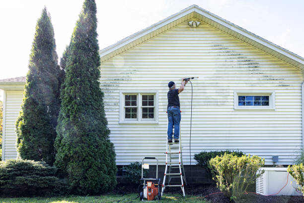 Best Driveway Pressure Washing  in Las Flores, CA